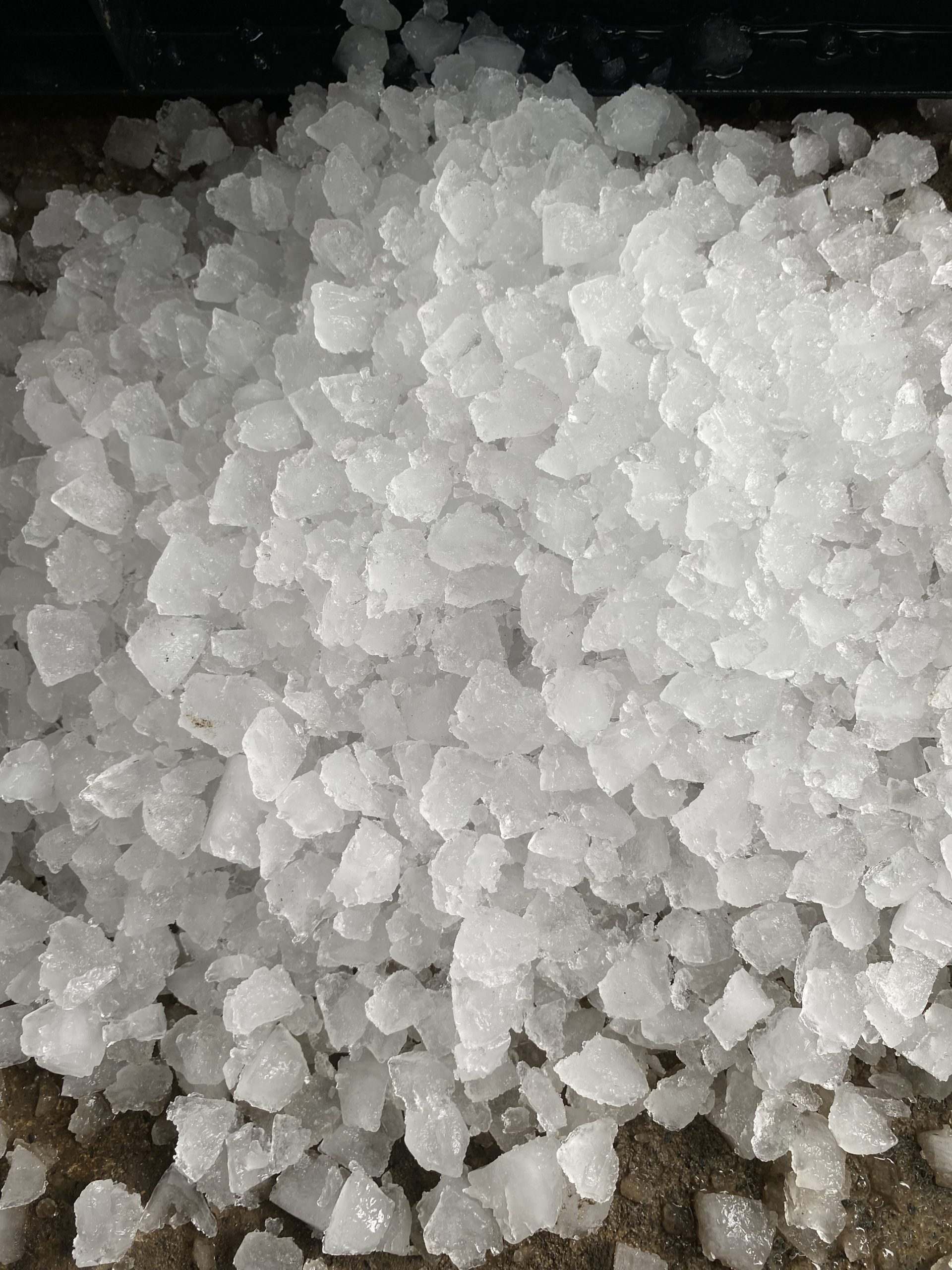 Machine A Paillettes Scotsman – Image 2